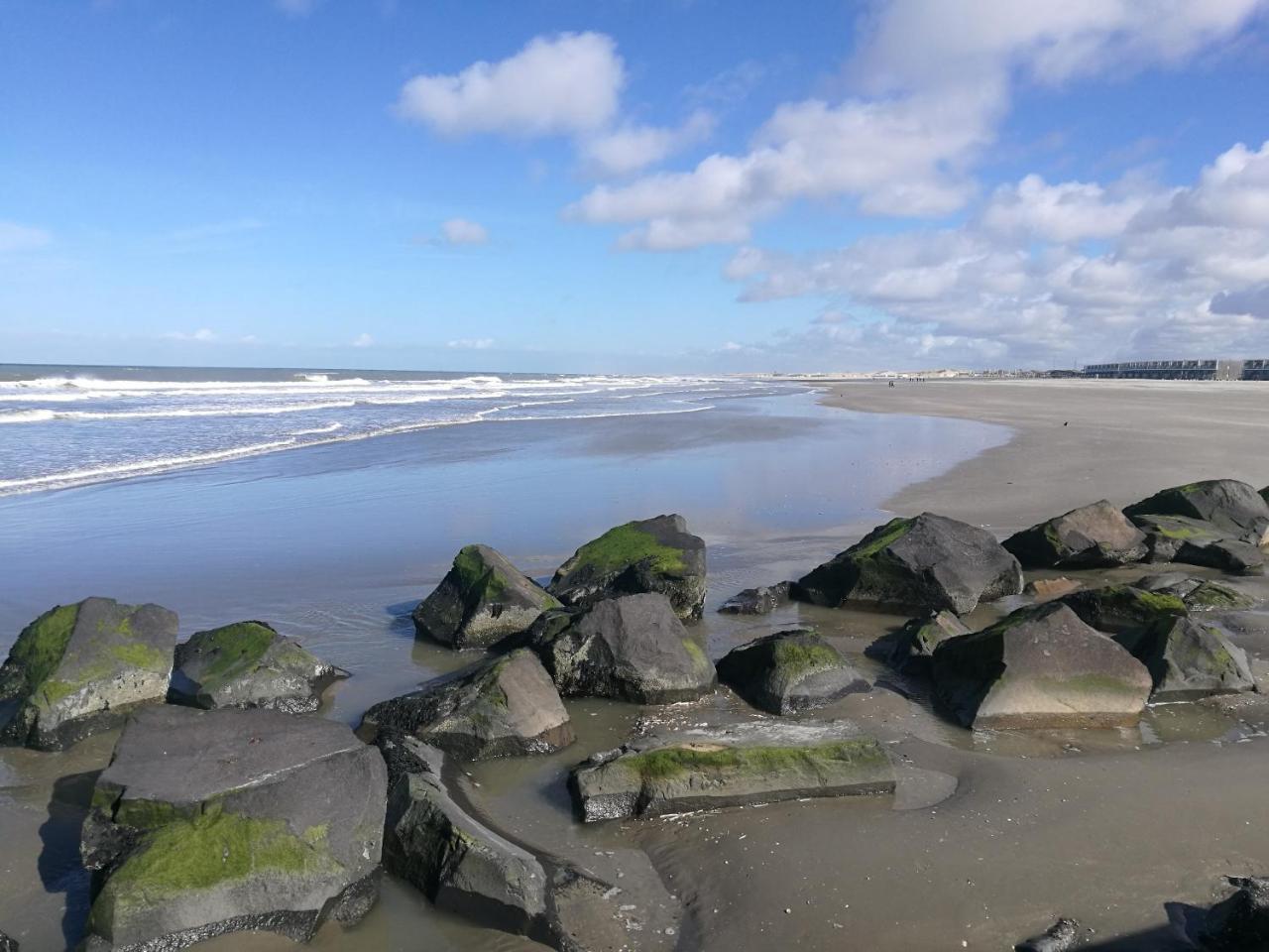 Hotel Noordzee Hoek van Holland Zewnętrze zdjęcie